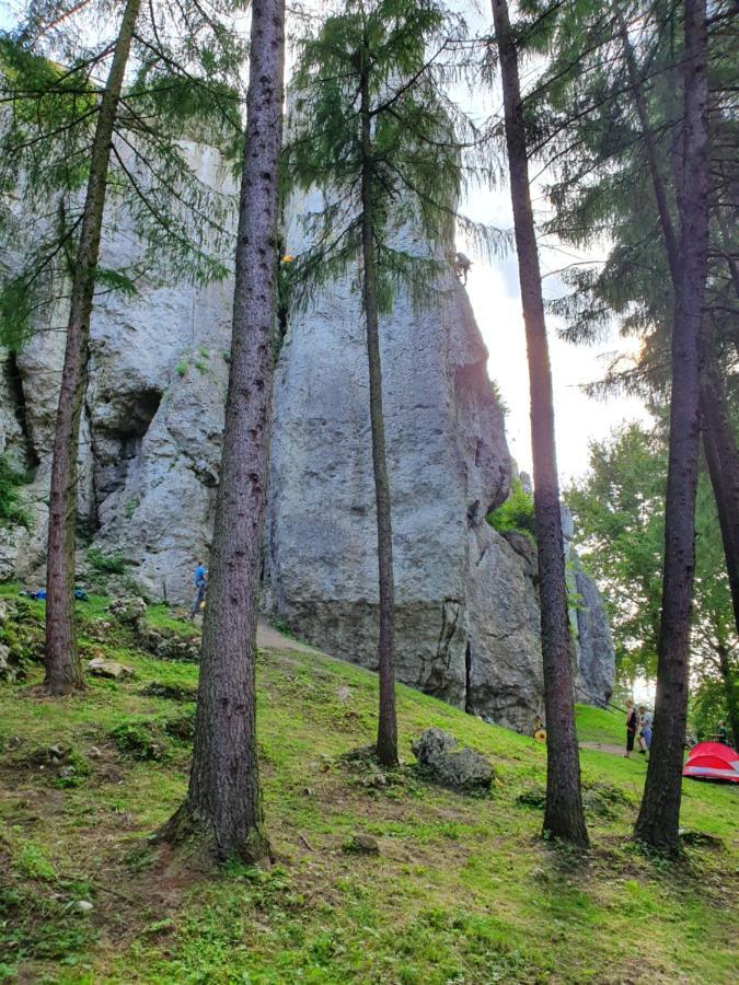 Pokoje Przy Zamku Podzamcze  Exterior foto