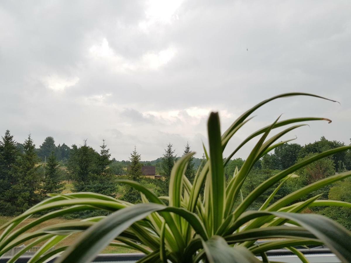 Pokoje Przy Zamku Podzamcze  Exterior foto