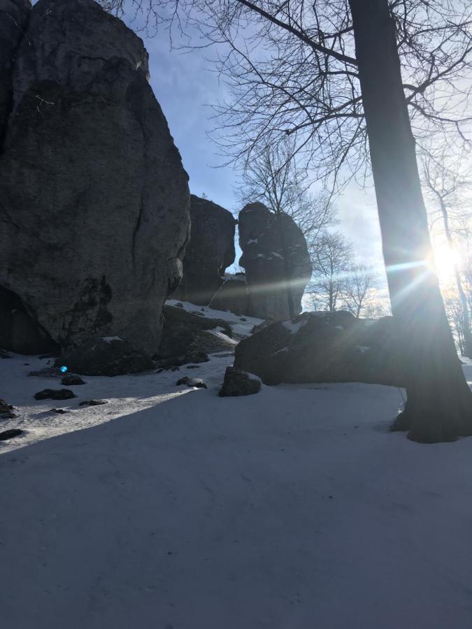 Pokoje Przy Zamku Podzamcze  Exterior foto