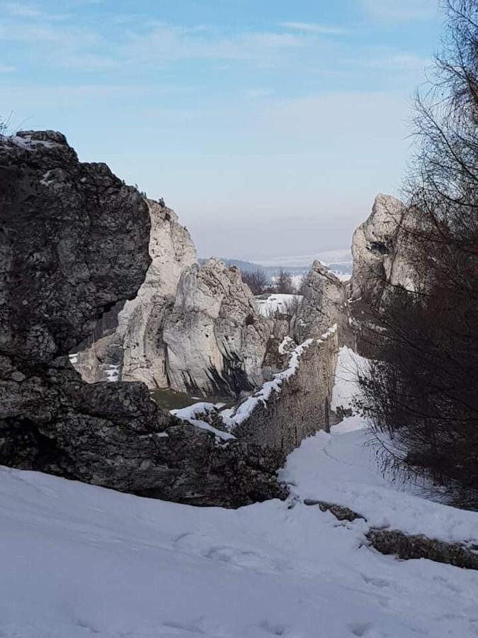 Pokoje Przy Zamku Podzamcze  Exterior foto