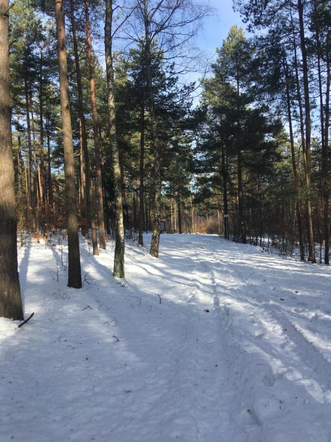 Pokoje Przy Zamku Podzamcze  Exterior foto