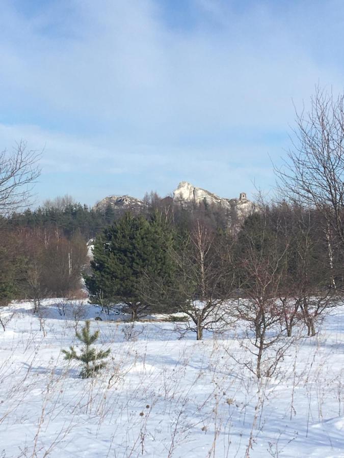Pokoje Przy Zamku Podzamcze  Exterior foto