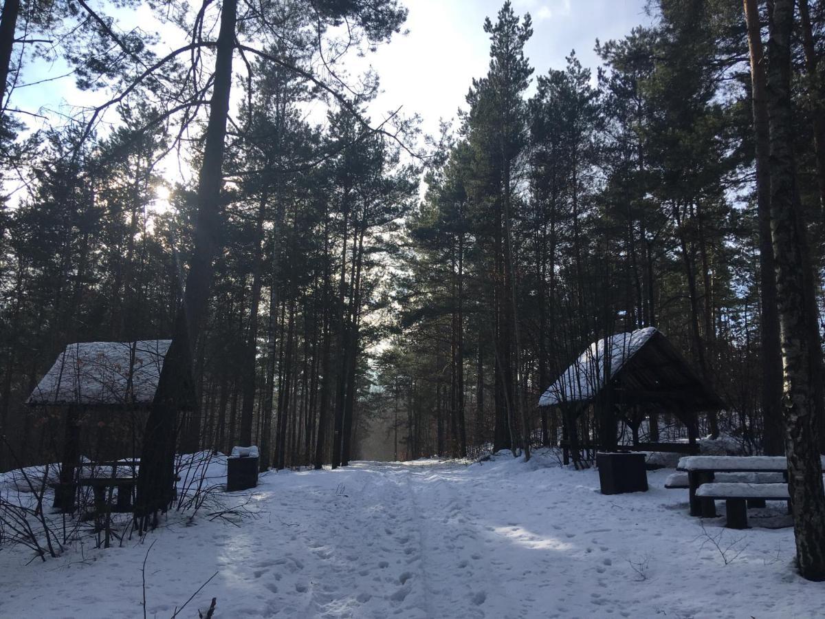 Pokoje Przy Zamku Podzamcze  Exterior foto