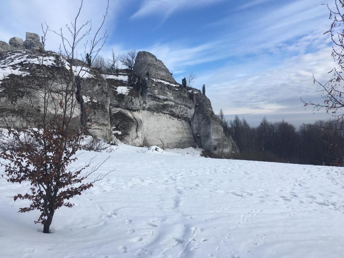 Pokoje Przy Zamku Podzamcze  Exterior foto