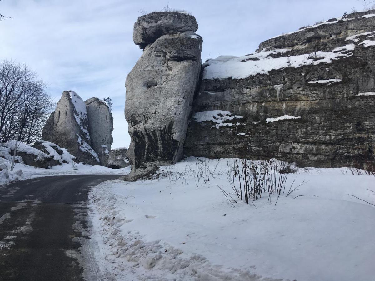 Pokoje Przy Zamku Podzamcze  Exterior foto