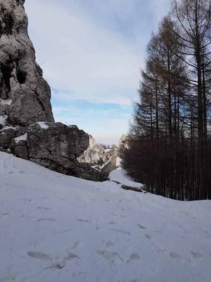 Pokoje Przy Zamku Podzamcze  Exterior foto